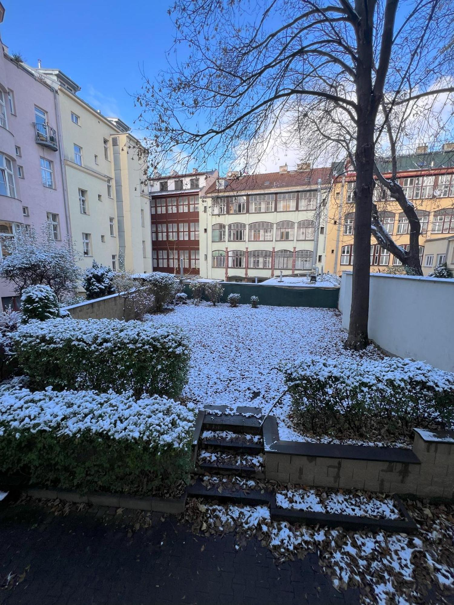 Cozy Garden Apartment In The Heart Of Прага Экстерьер фото
